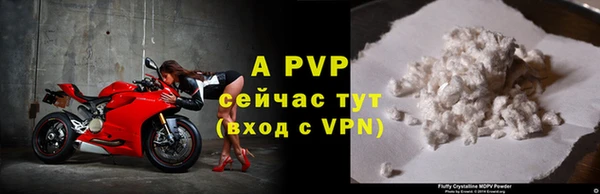 эйфоретик Осинники