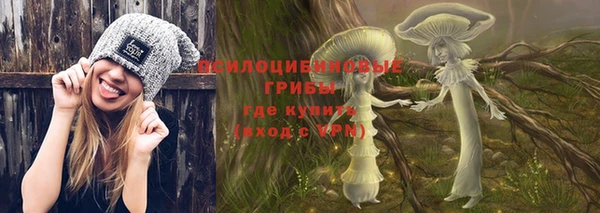 эйфоретик Осинники