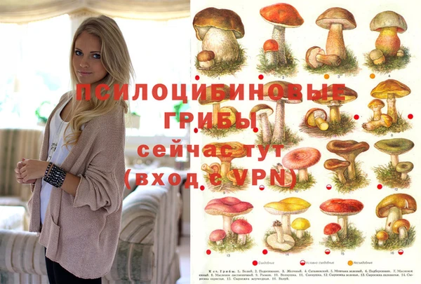 трава Осташков